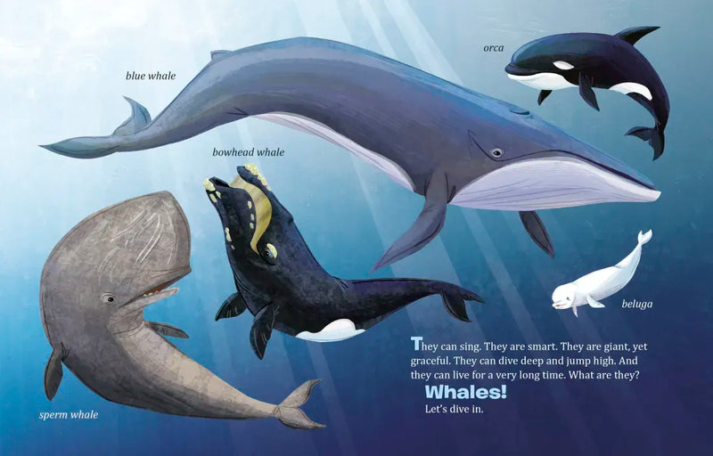 My Little Golden Book About Whales US - Hardback