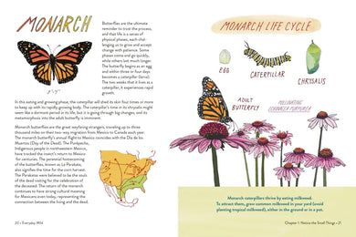 Everyday Wild US - Hardback