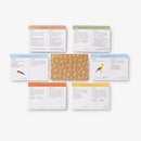 Sibley Birder's Trivia: A Card Game US - Cards