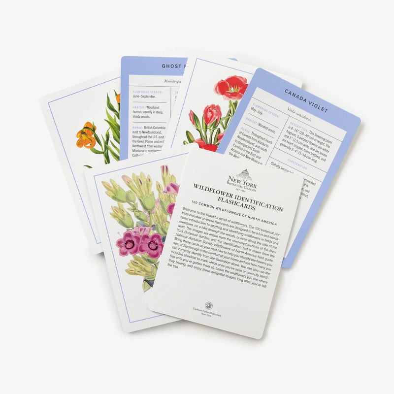 New York Botanical Garden Wildflower Identification Flashcards US - Cards