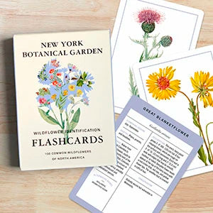 New York Botanical Garden Wildflower Identification Flashcards US - Cards