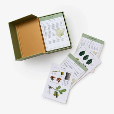 Sibley Tree Identification Flashcards US - Cards