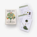 Sibley Tree Identification Flashcards US - Cards
