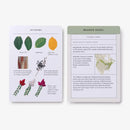 Sibley Tree Identification Flashcards US - Cards