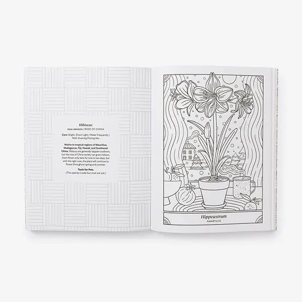 The Happy Houseplant Coloring Book US - Paperback / softback