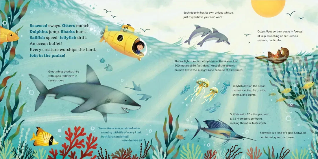 God's Little Oceanographer US - Hardback