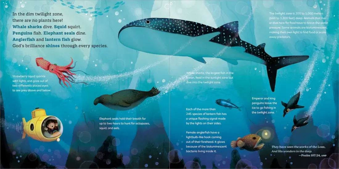 God's Little Oceanographer US - Hardback