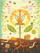 What's Inside a Flower? Puzzle US - Game