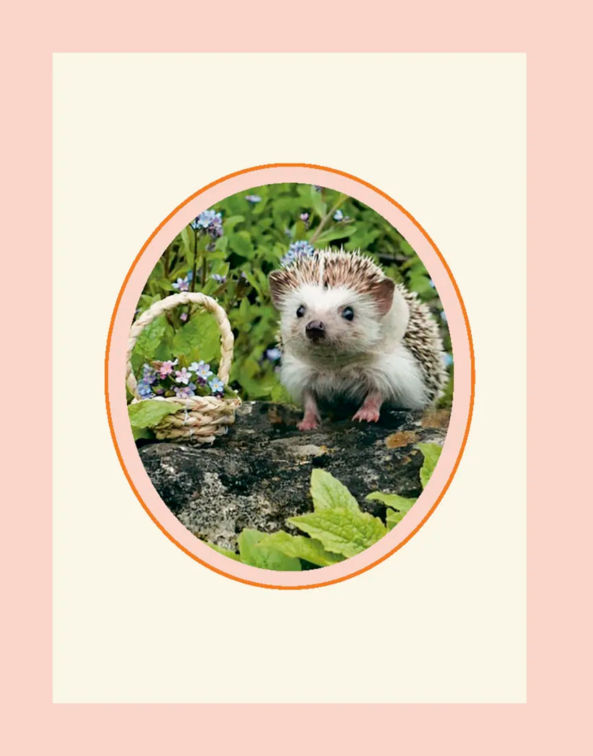 Every Little Thing Quill Be All Right US - Hardback
