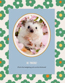 Every Little Thing Quill Be All Right US - Hardback