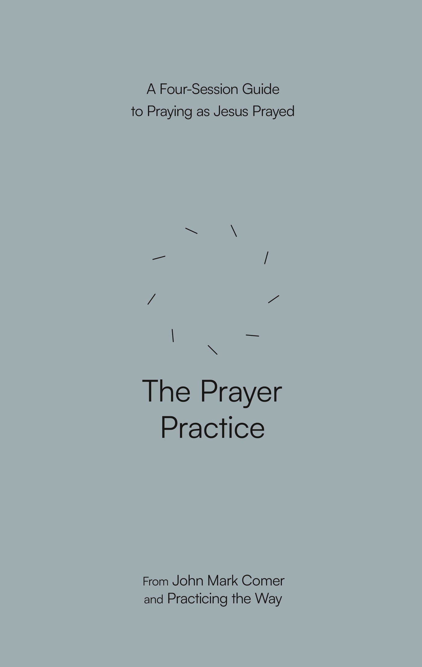 The Prayer Practice-Religion and beliefs-買書書 BuyBookBook