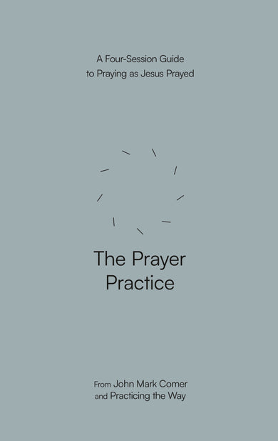 The Prayer Practice-Religion and beliefs-買書書 BuyBookBook