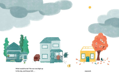 A Hat for House US - Hardback