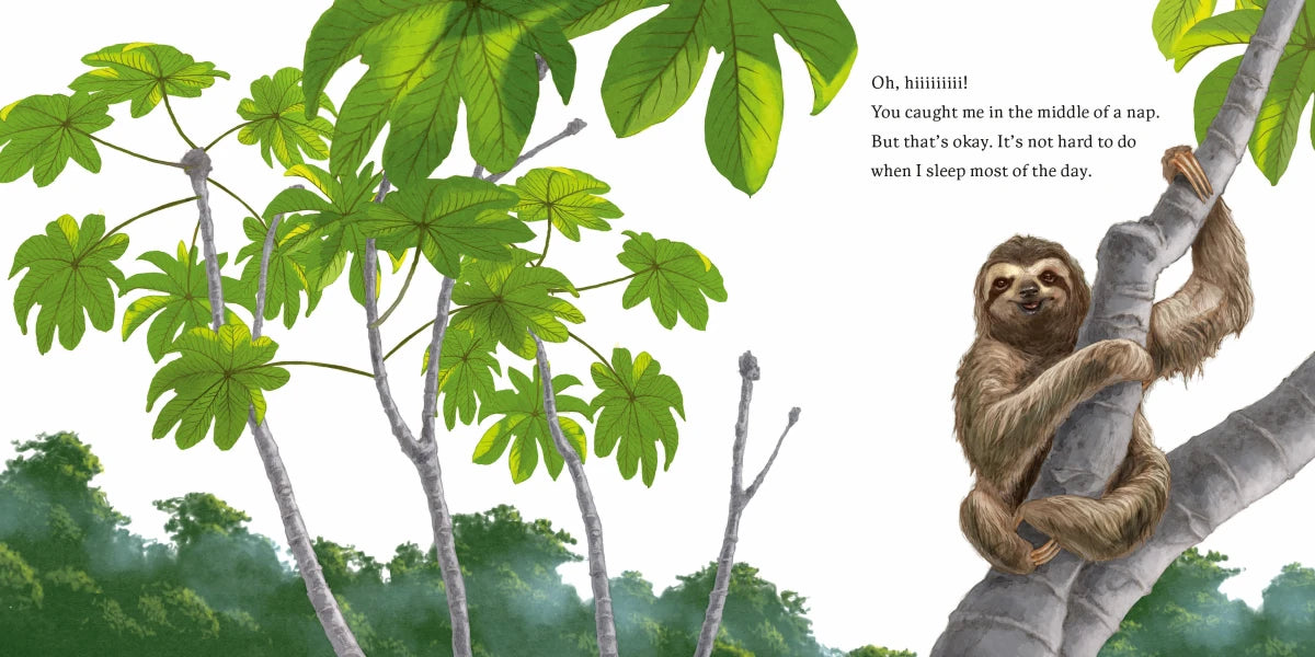 Hello, I'm a Sloth (Meet the Wild Things, Book 1) US - Hardback