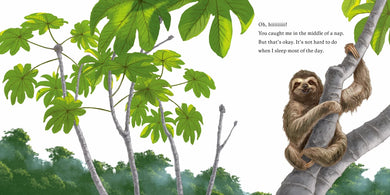 Hello, I'm a Sloth (Meet the Wild Things, Book 1) US - Hardback