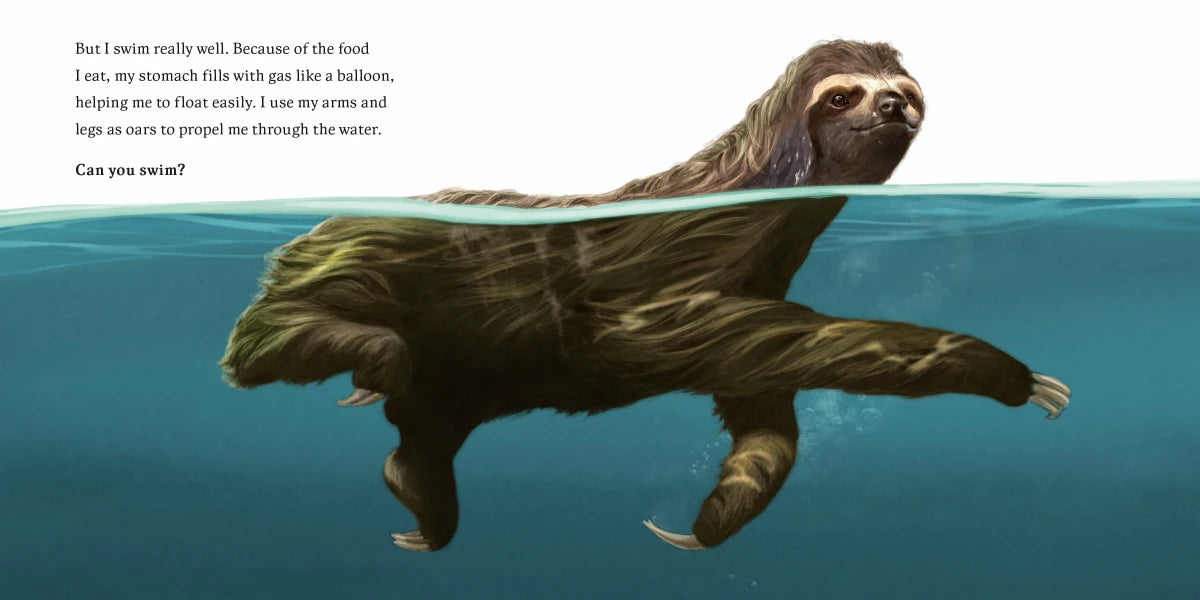 Hello, I'm a Sloth (Meet the Wild Things, Book 1) US - Hardback