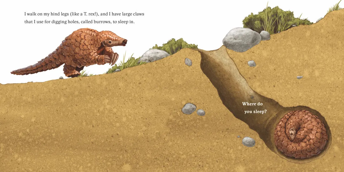 Hello, I'm a Pangolin (Meet the Wild Things, Book 2) US - Hardback