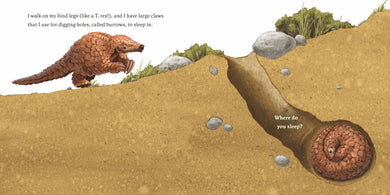 Hello, I'm a Pangolin (Meet the Wild Things, Book 2) US - Hardback