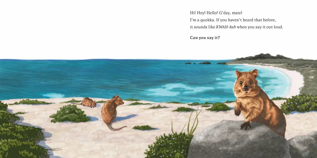 Hello, I'm a Quokka (Meet the Wild Things, Book 3) US - Hardback