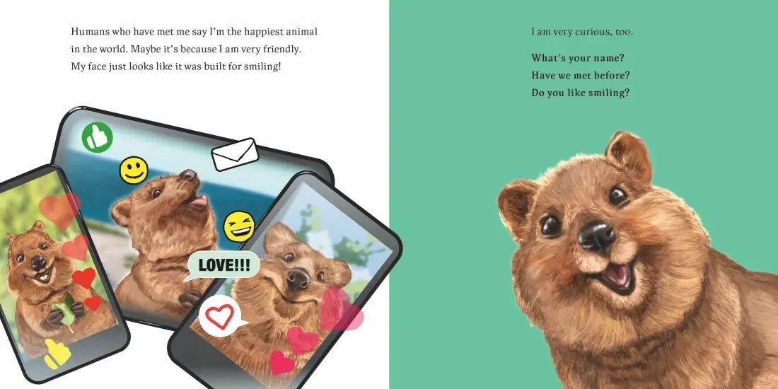 Hello, I'm a Quokka (Meet the Wild Things, Book 3) US - Hardback