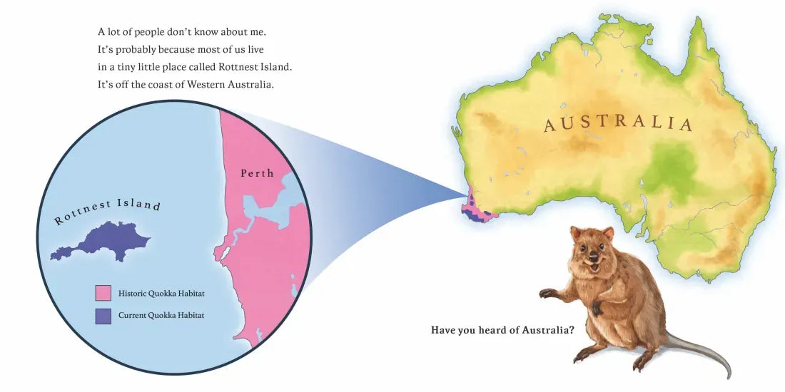 Hello, I'm a Quokka (Meet the Wild Things, Book 3) US - Hardback