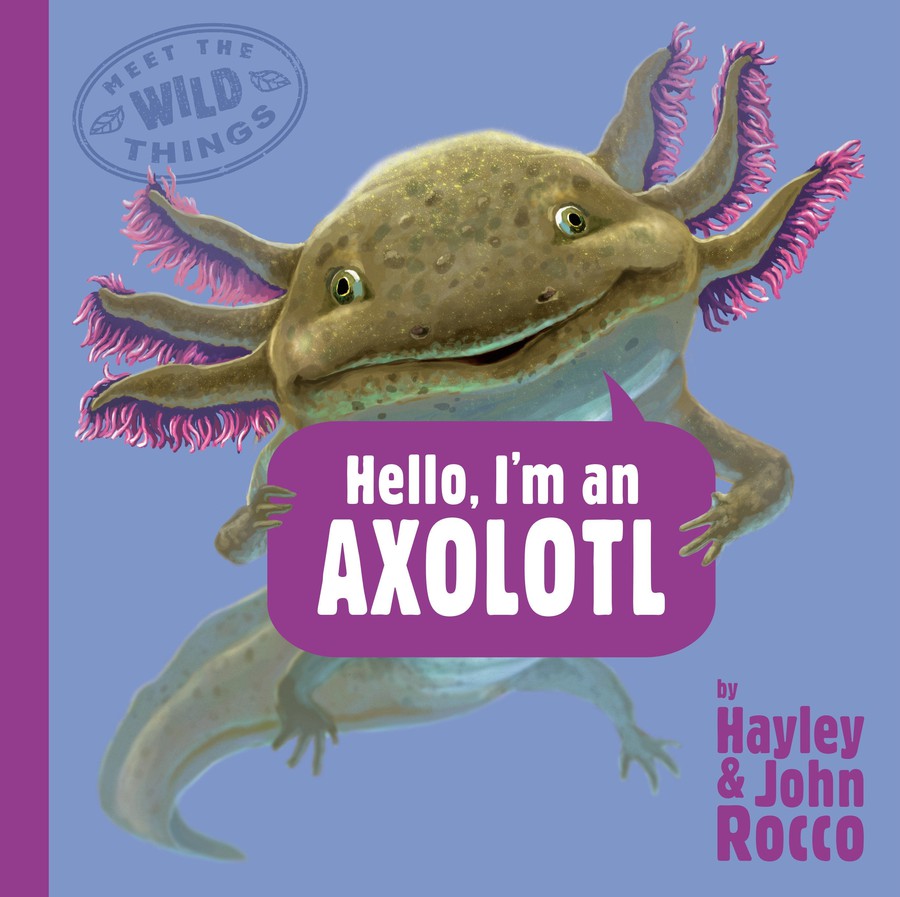 Hello, I'm an Axolotl (Meet the Wild Things, Book 4)-Children’s / Teenage general interest: Nature and animals-買書書 BuyBookBook