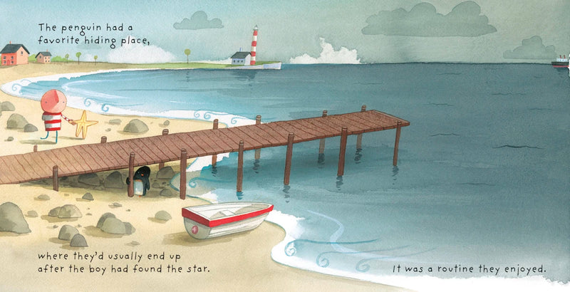 Where to Hide a Star US - Hardback