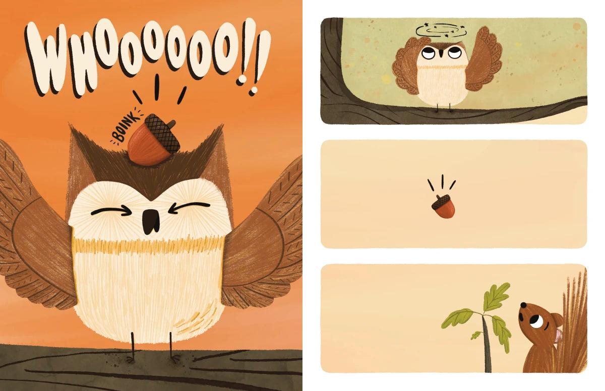 Have You Seen My Acorn? US - Hardback