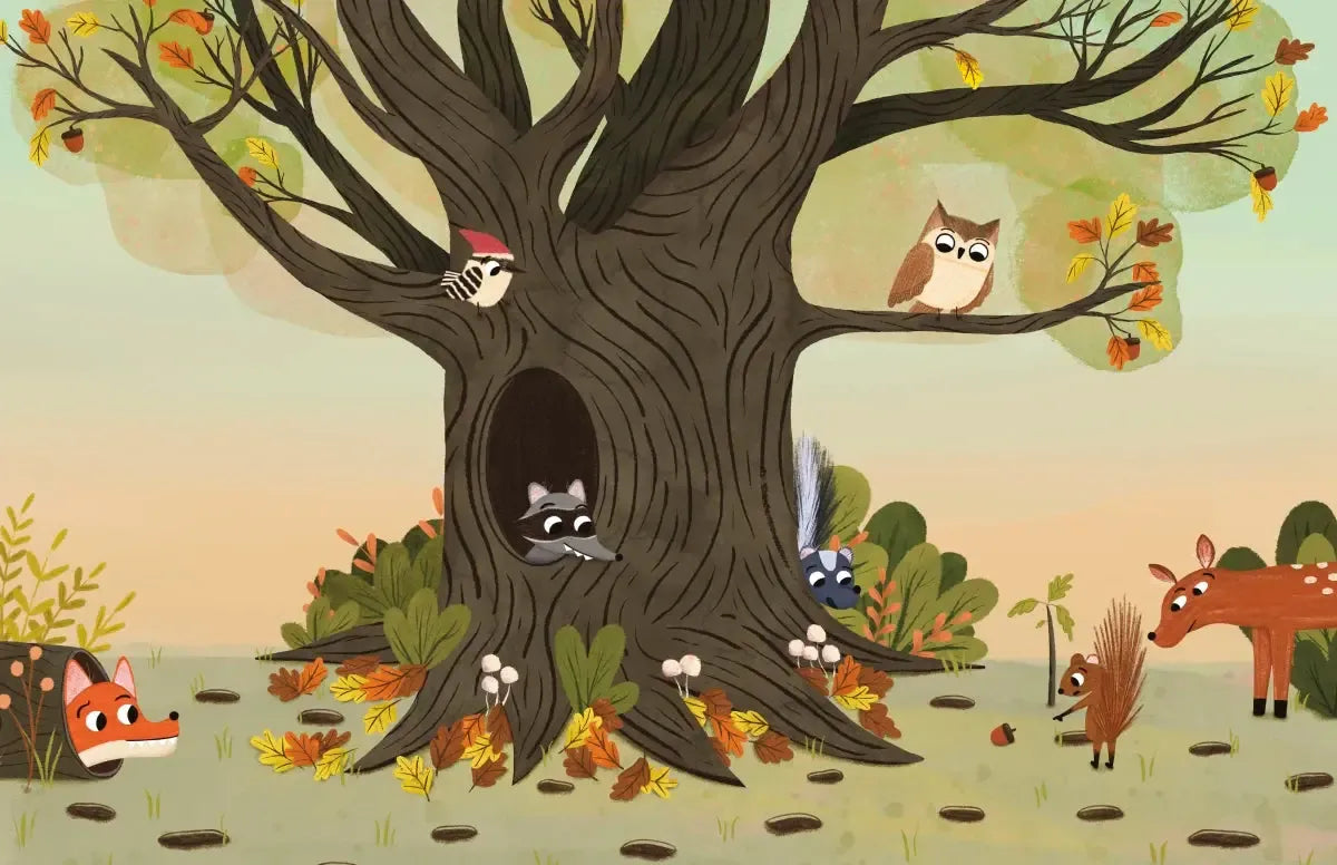 Have You Seen My Acorn? US - Hardback