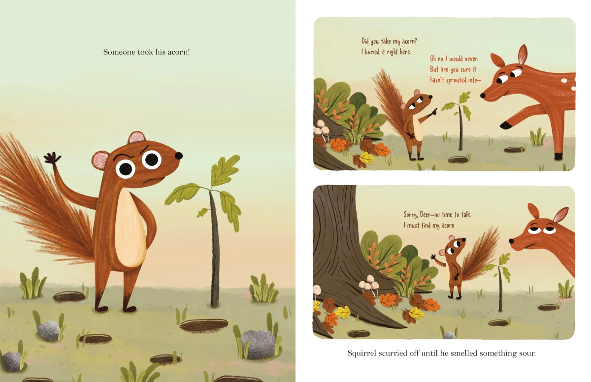 Have You Seen My Acorn? US - Hardback