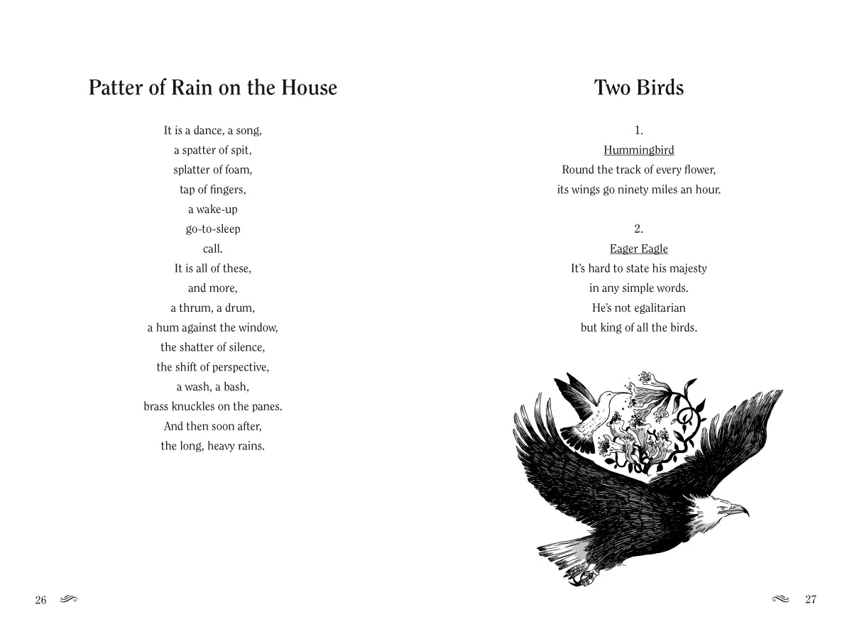 In and Out the Window US - Hardback