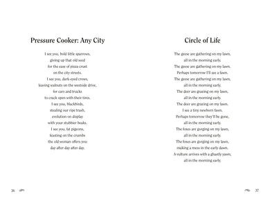 In and Out the Window US - Hardback