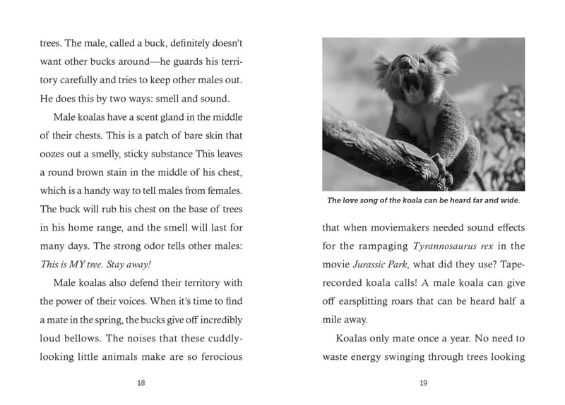 Save the... Koalas US - Hardback