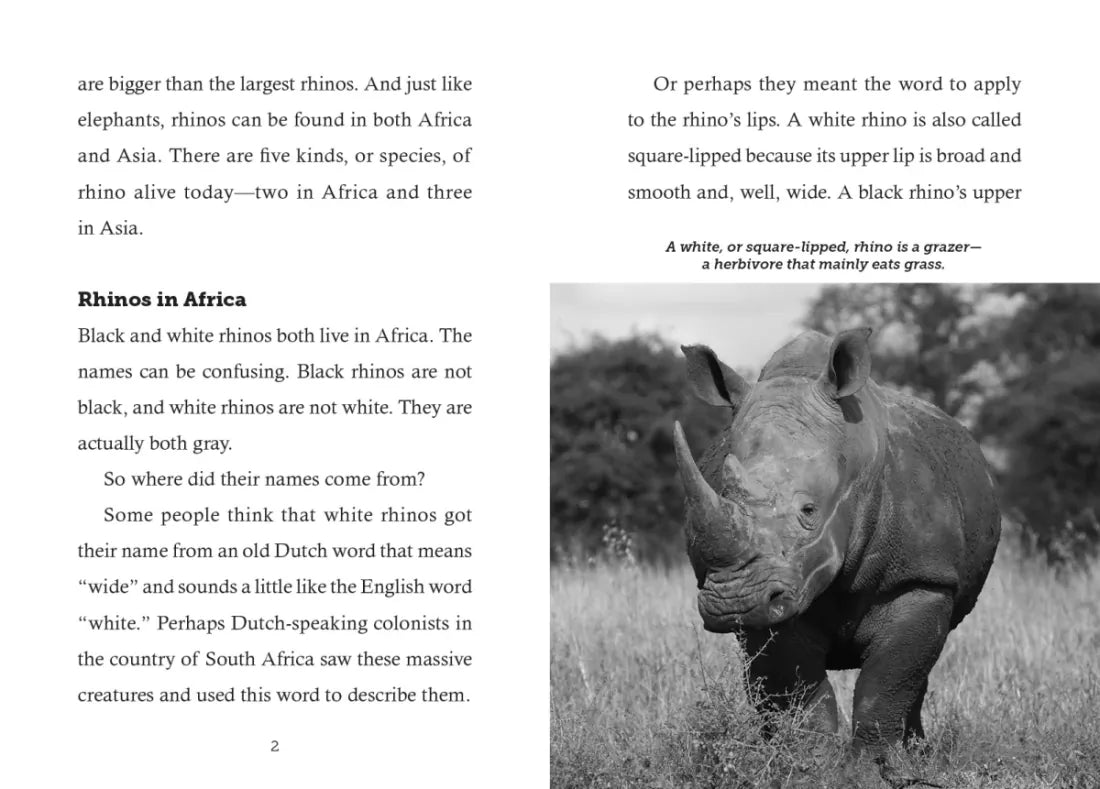 Save the... Rhinoceroses US - Paperback / softback