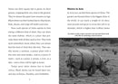 Save the... Rhinoceroses US - Paperback / softback