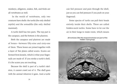 Save the...Turtles US - Paperback / softback