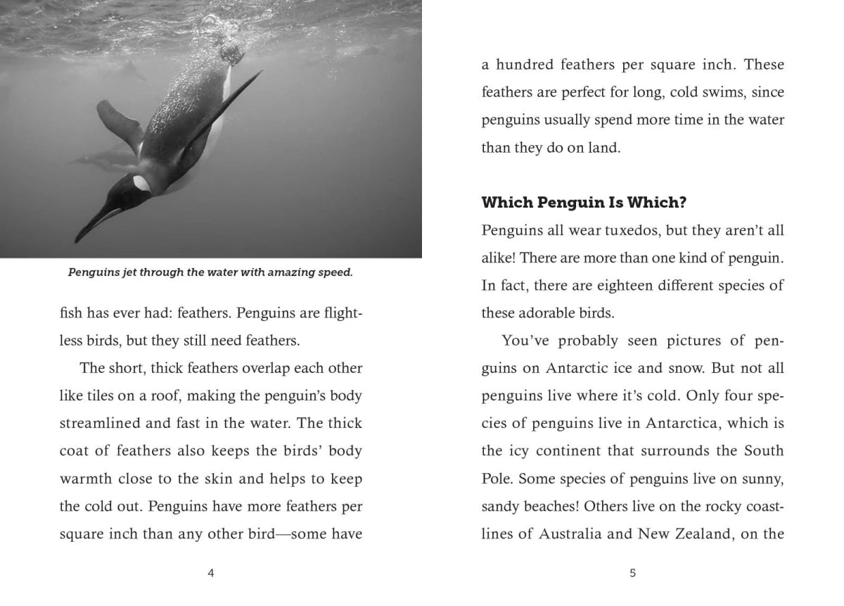 Save the... Penguins US - Paperback / softback