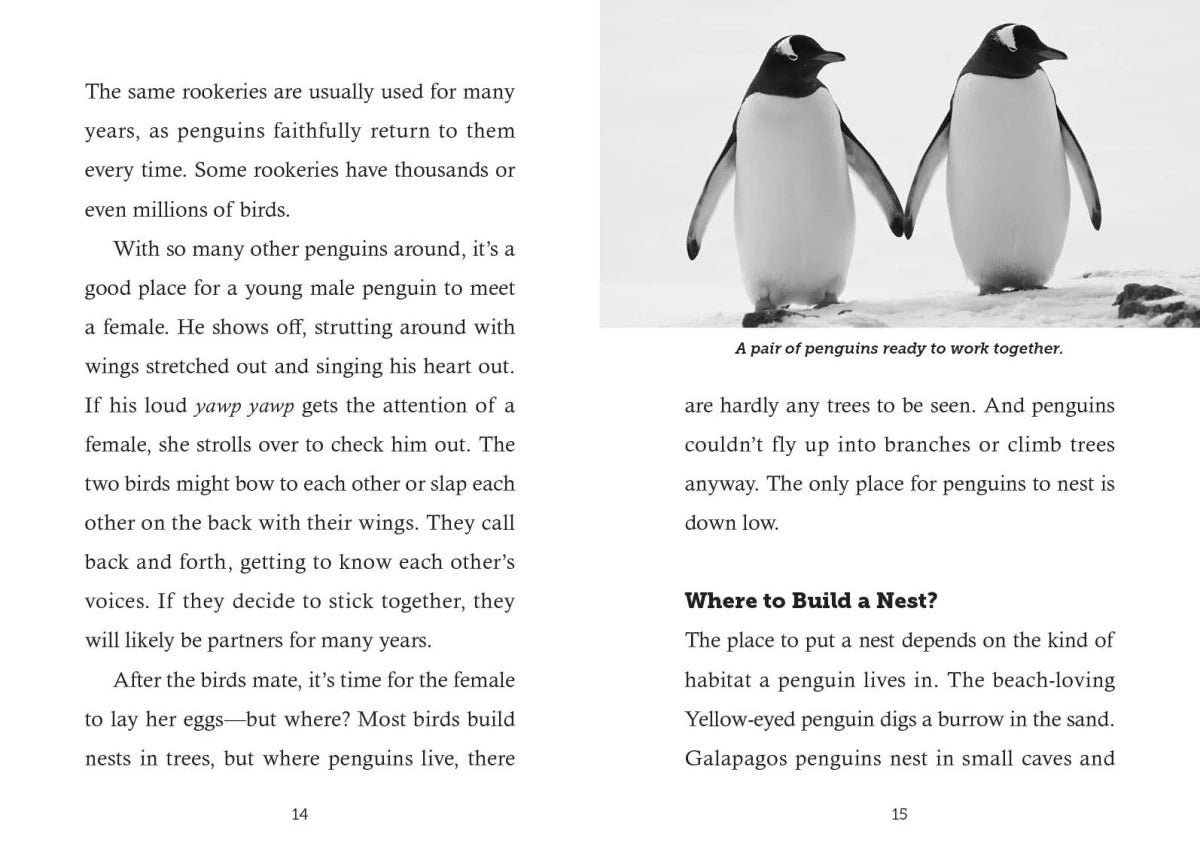 Save the... Penguins US - Paperback / softback