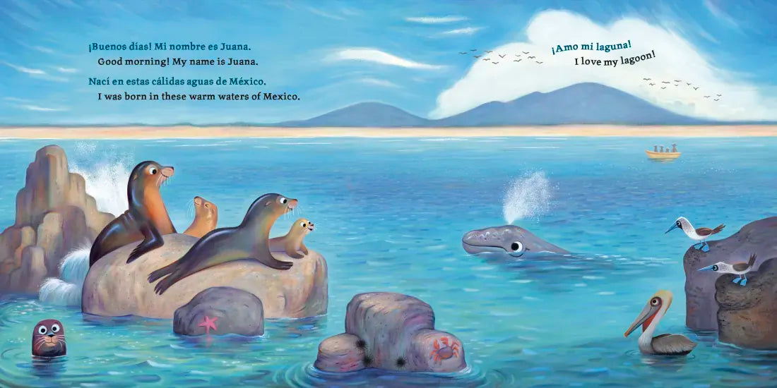 Baby Ballena (Bilingual English-Spanish Edition) US - Hardback