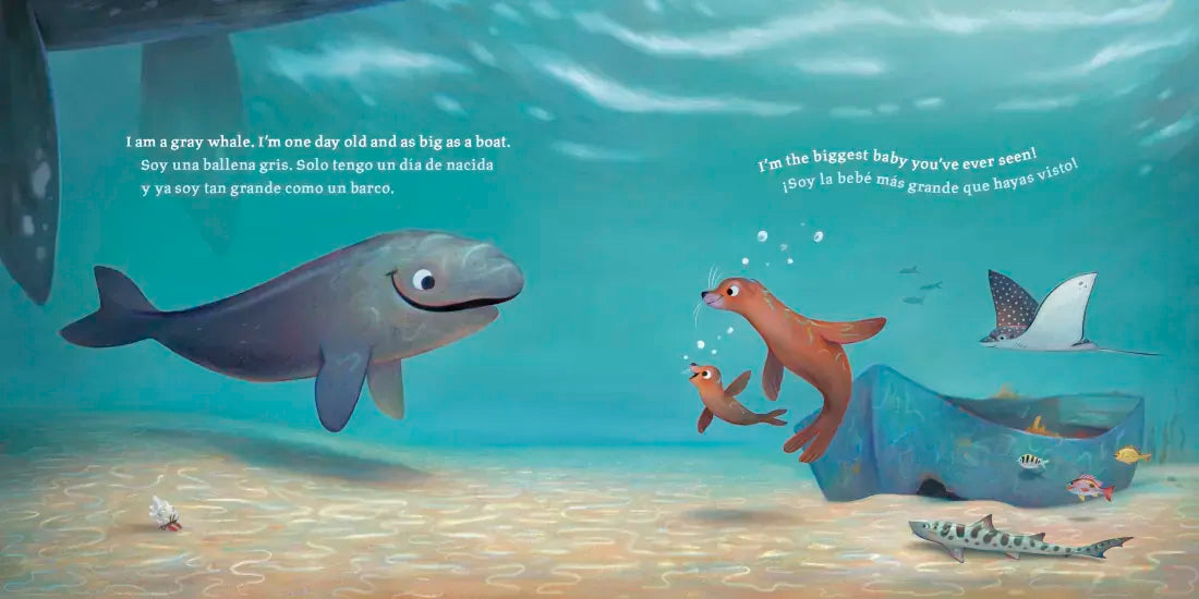 Baby Ballena (Bilingual English-Spanish Edition) US - Hardback