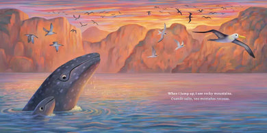 Baby Ballena (Bilingual English-Spanish Edition) US - Hardback