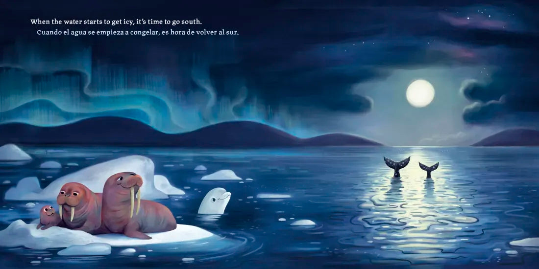 Baby Ballena (Bilingual English-Spanish Edition) US - Hardback