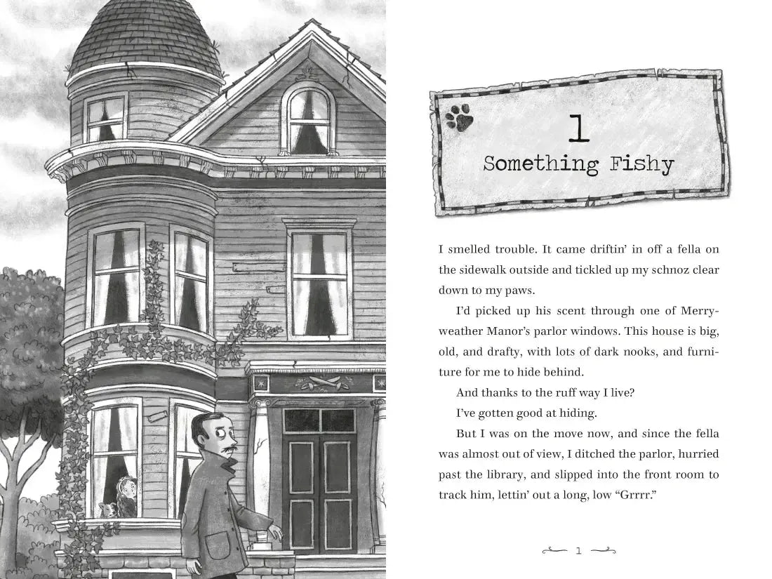 Mr. Whiskers and the Shenanigan Sisters US - Hardback