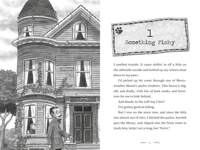 Mr. Whiskers and the Shenanigan Sisters US - Hardback