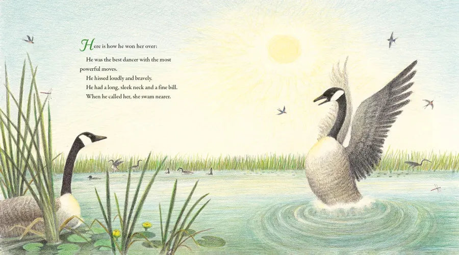 The Lonely Goose US - Hardback (9780593647554)
