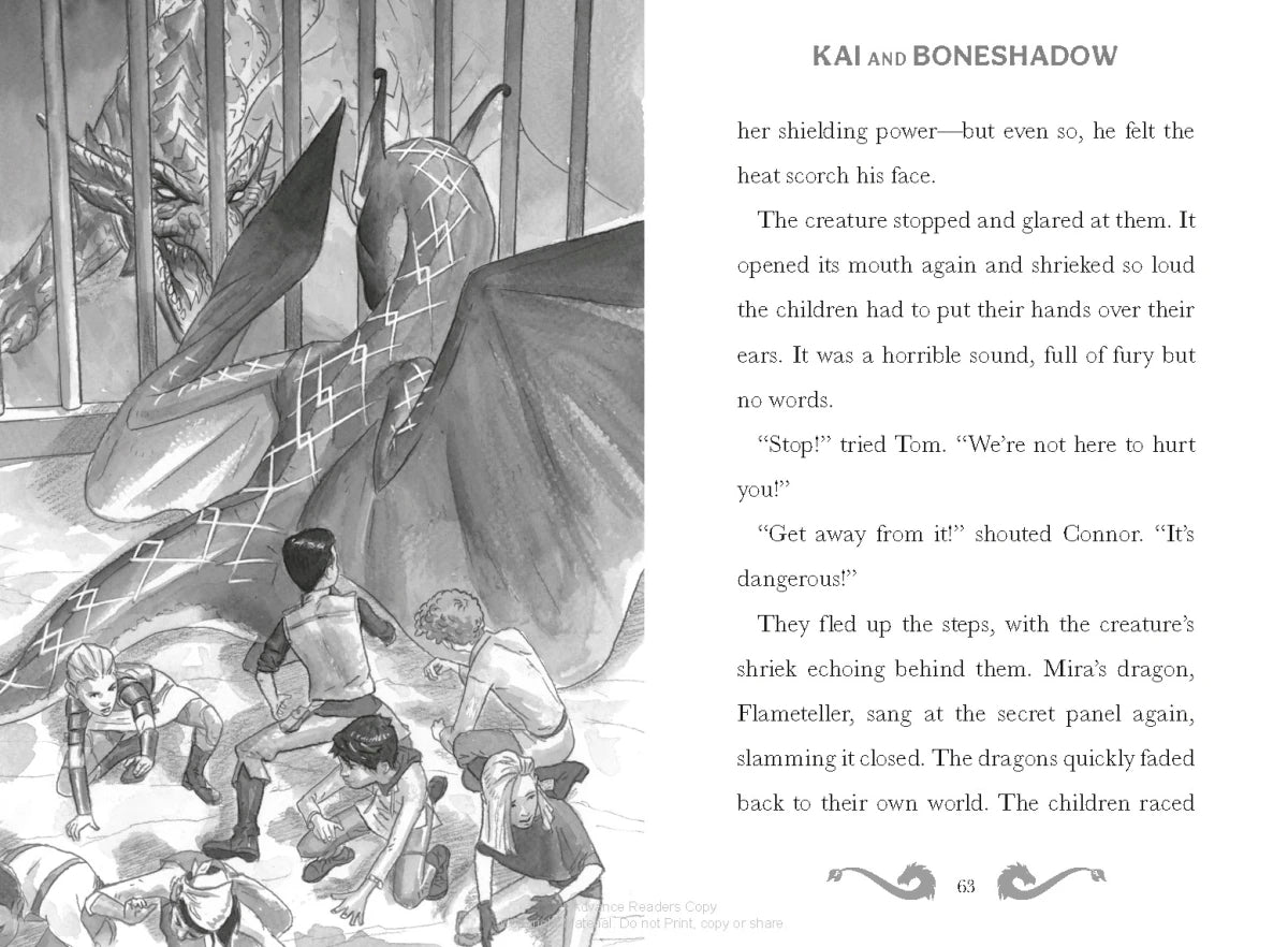 Dragon Storm #5: Kai and Boneshadow US - Paperback / softback