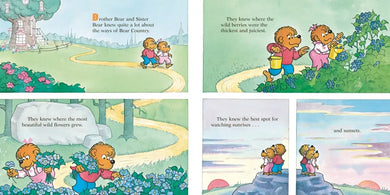Let's Talk About Money (Berenstain Bears) US - Paperback / softback
