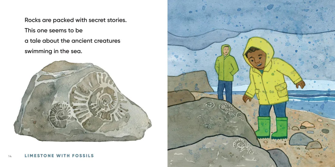 All the Rocks We Love US - Hardback