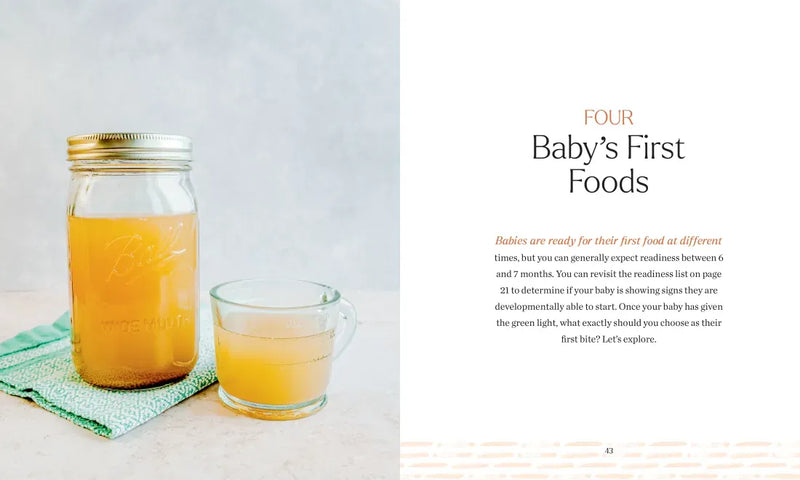 Brain Food for Your Baby US - Paperback / softback