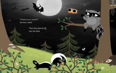 Little Owl's Fog US - Hardback